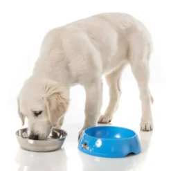 Hundenapf Brunner Hungry XL -Camping Lieferungen camping hundeschuessel brunner hungry xl 2 18828