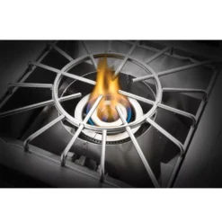 Napoleon 700-Series Einbau Power-Wokbrenner -Camping Lieferungen einbau power wokbrenner 2 leistungsstarke brenner napoleon 700 series 1000 8 24915