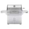 Holzkohlegrill Napoleon Charcoal Professional PRO 605
